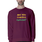 Are You Curious Enough Men's Sweatshirt