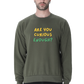 Are You Curious Enough Men's Sweatshirt